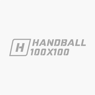 Handball 100x100