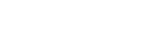 Guinew · IA per a empreses