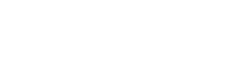 Guinew · AI for business
