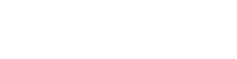 Guinew · IA para empresas